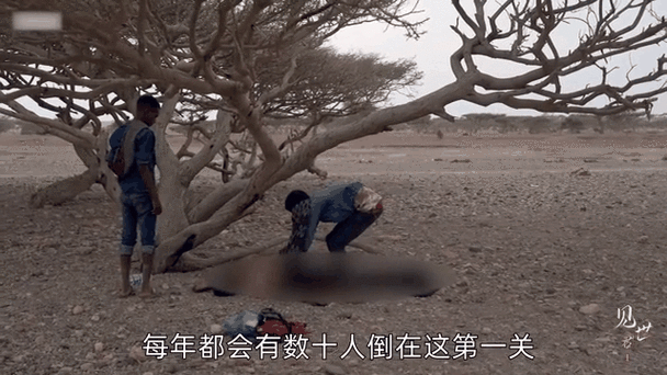 非洲的“死亡之心”咋得共和国，人们出行还得在沙漠里坐船