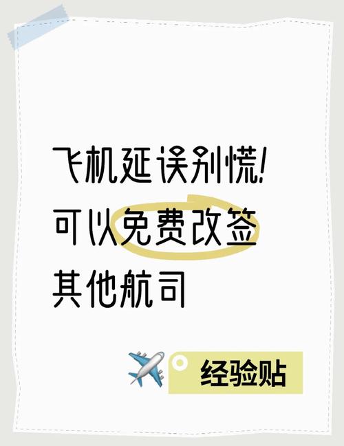 飞机机械故障临时改签。人到国内了，行李还在欧洲