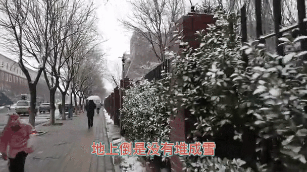 3月28号，北京飘雪，看把这些游客冻的样子！倒春寒