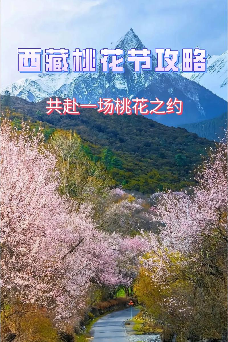 去林芝看桃花吗？别错过易贡藏布❗