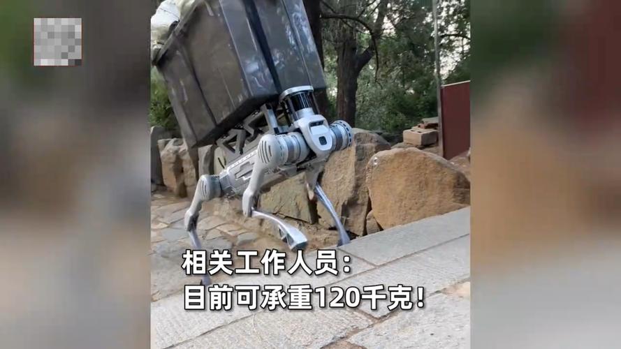 山东泰山机器狗搬山工一次可搬运240斤货物，科技真的走进生活了