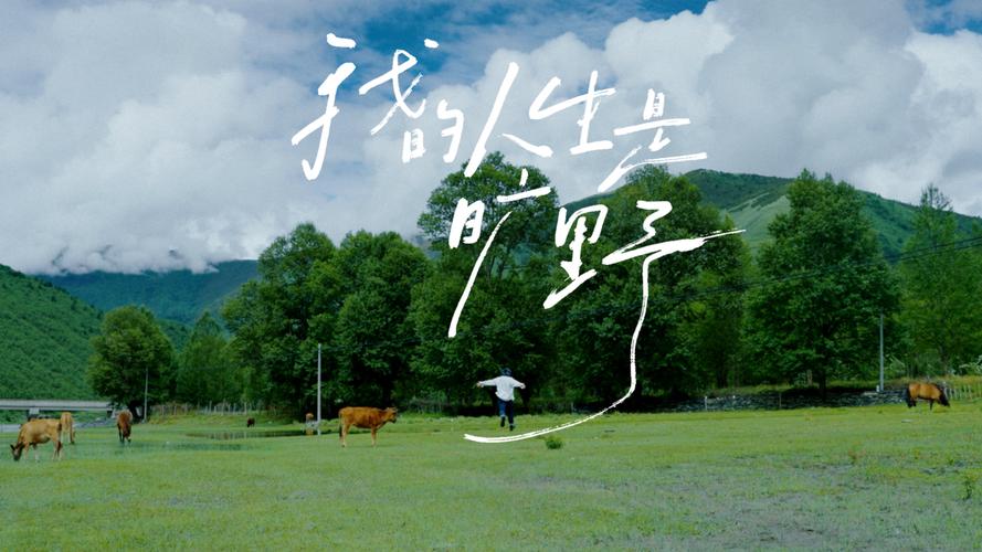 这才是理想的旅游生活 这里是旷野国际旅行社