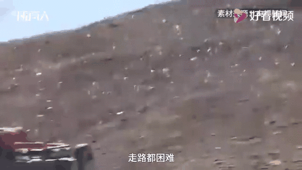 25人车队非法穿越可可西里无人区被抓：被发现时三分之二人员已出现高反 警方已移交可可西里管理处