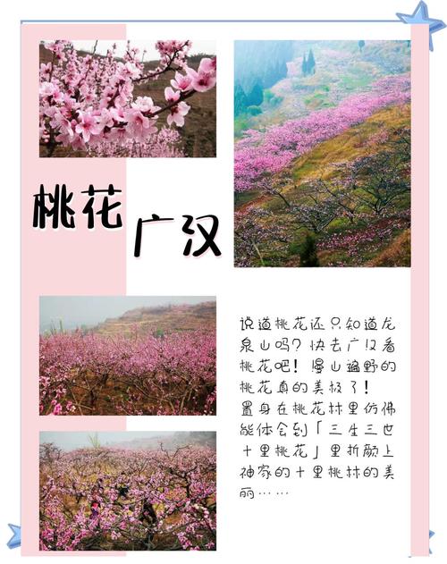 揽尽烂漫春色，2025镇巴县精品观花线路推荐！