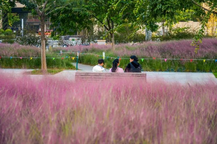 打卡济南百花公园，粉色花海美不胜收！