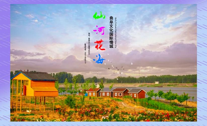 好客山东好品山东｜免费！临沂滨河这片花海等你打卡！