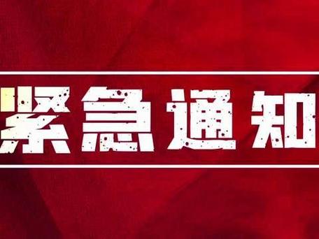 2025年4月1日 第54页
