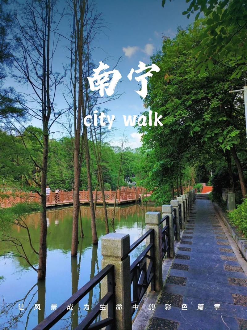 动静相宜皆入画！这里是广西南宁
