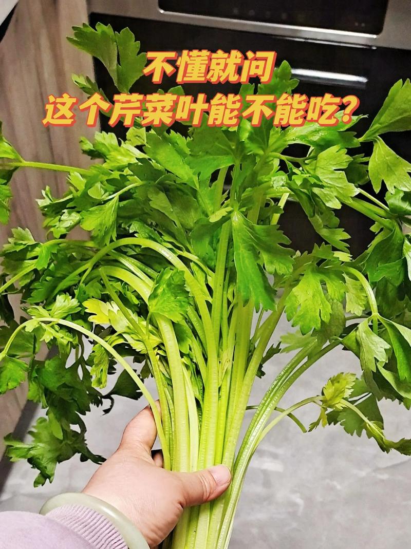 芹菜叶变废为宝，真是太神奇了，千万别错过，一定要收藏
