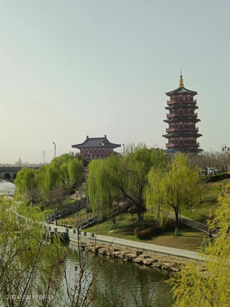 金色花海映红塔，风景如画美无涯