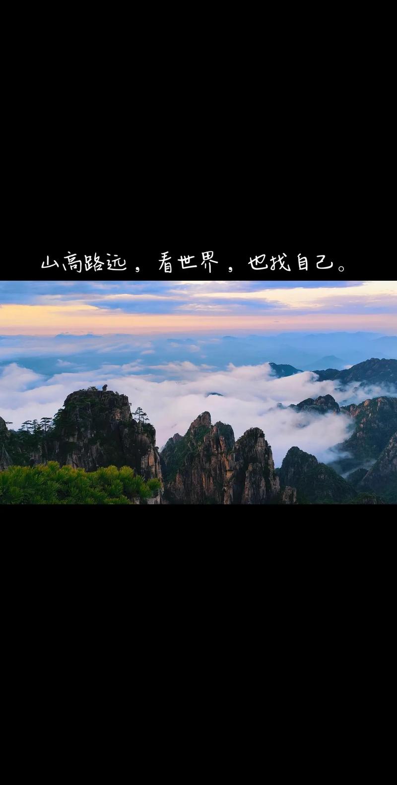 探索天路之巅，遇见高山花田