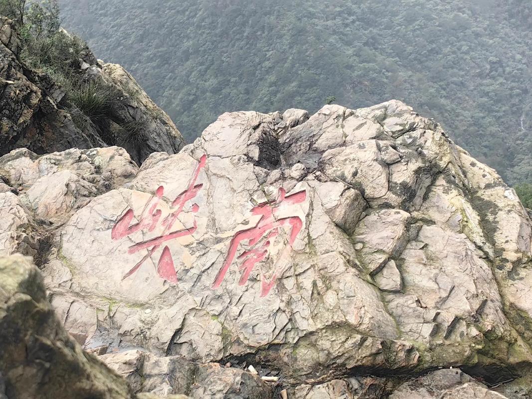 张怀民携东坡夜游锦城，探秘夜色中的“宝藏”景点！