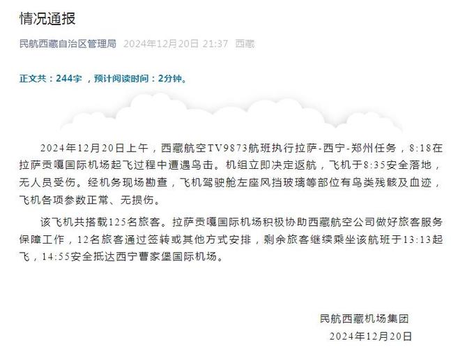 一飞往中国航班突然紧急返航!事故原因查明