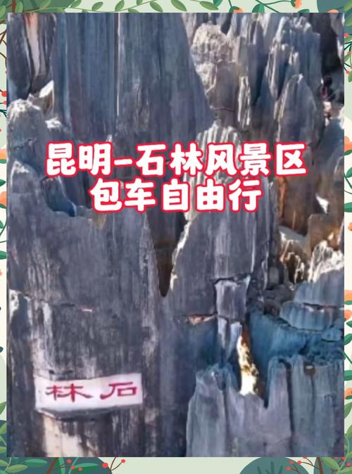 床车自驾游云南，逛景点马不停蹄，今天进石林景区