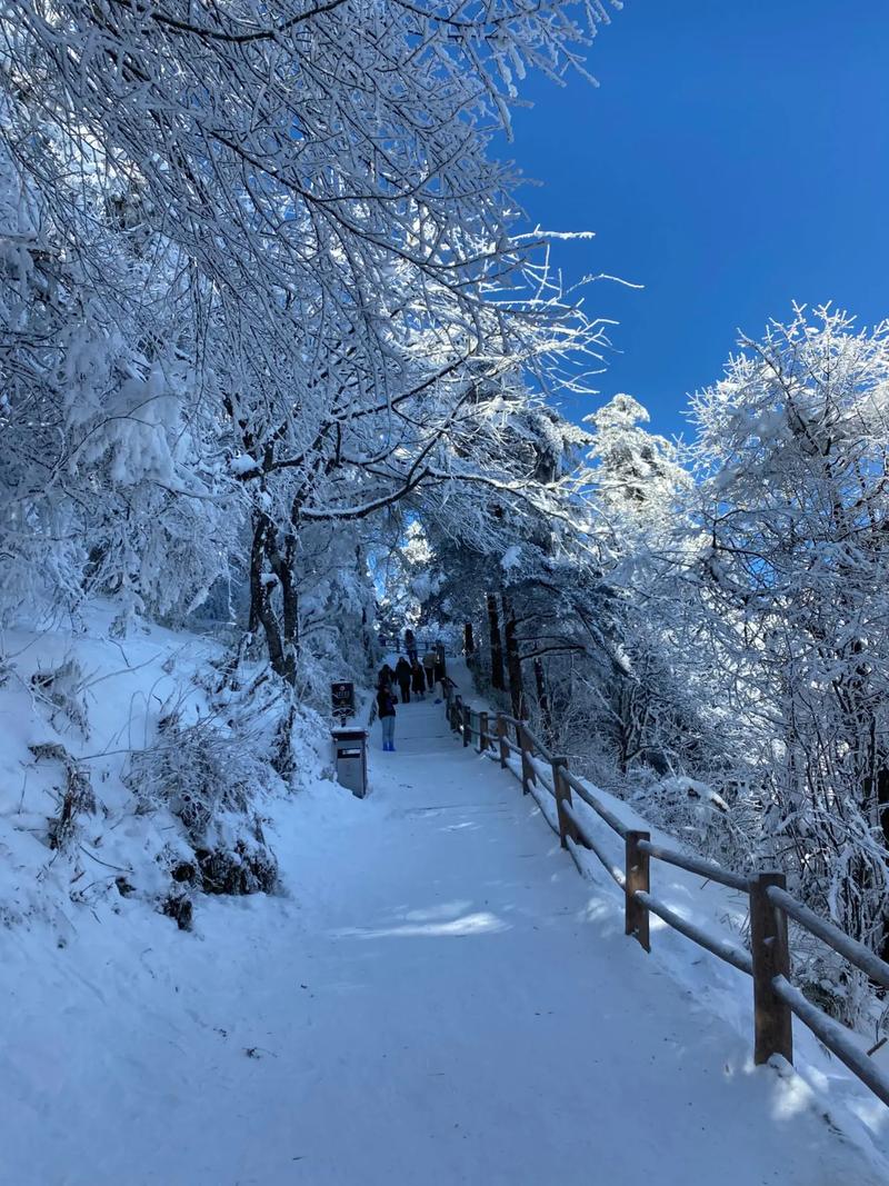 五一节在峨眉山顶玩雪 五一节在峨眉山顶玩雪，这是2023年