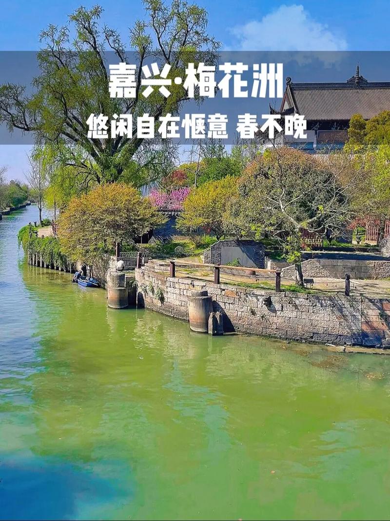 速冲！长在“云”上的花海，免费解锁千年古镇