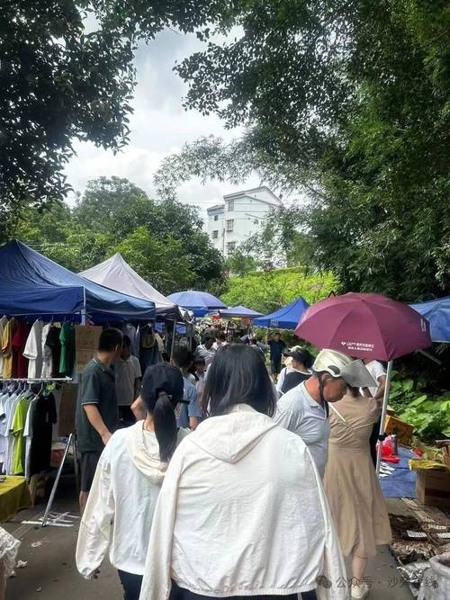 娘惹舞蹈、市集摊位…来翔安“圩”度美好假日