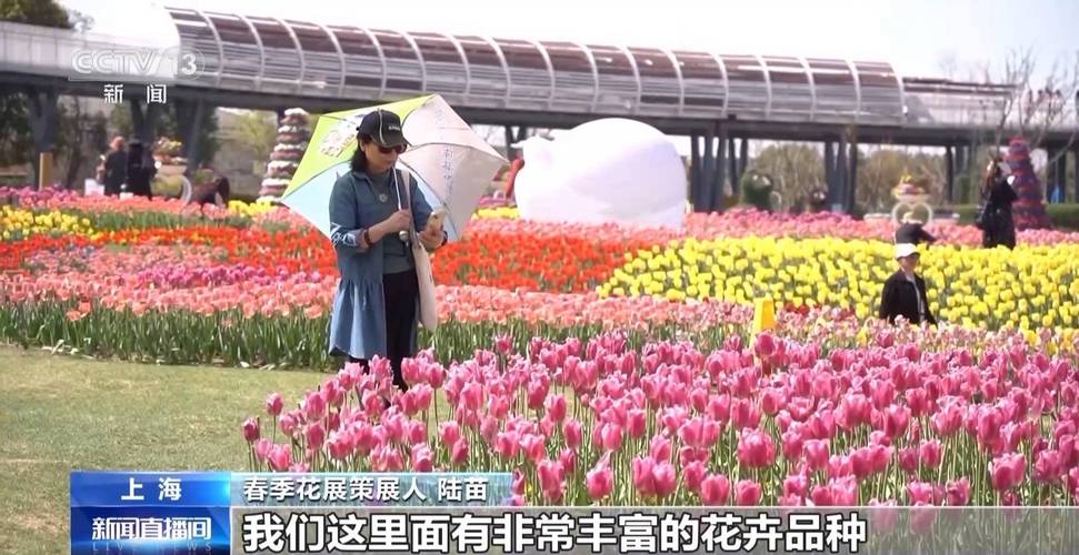 全国各地开启赏花季 春日经济”创造消费新场景