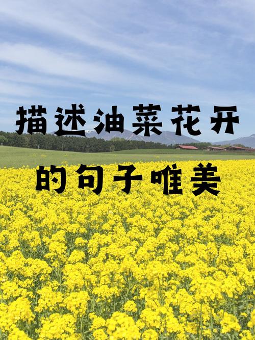 2025年4月1日 第16页
