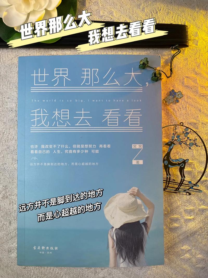 2025年3月31日 记录旅行时光 世界那么大我想去看看 起飞🛫