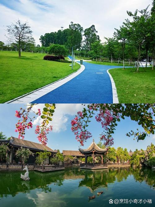 广州：全域公园建设进行时 市民尽享自然之美