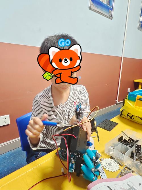 12岁“小孩哥”玩转编程拥有5万粉丝：幼儿园玩电烙铁，小学自学编程，想当工程师