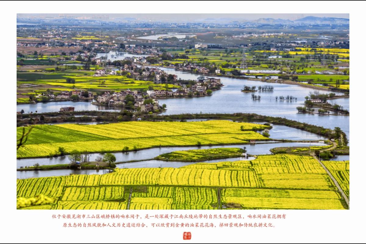 春回大地，如诗如画的芜湖响水油菜花。春回大地，万物复苏