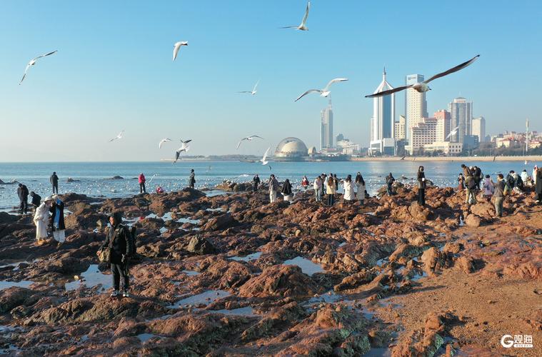 海滨城市风光，高楼林立，沙滩人潮涌动，海鸥翱翔，尽享悠闲时光