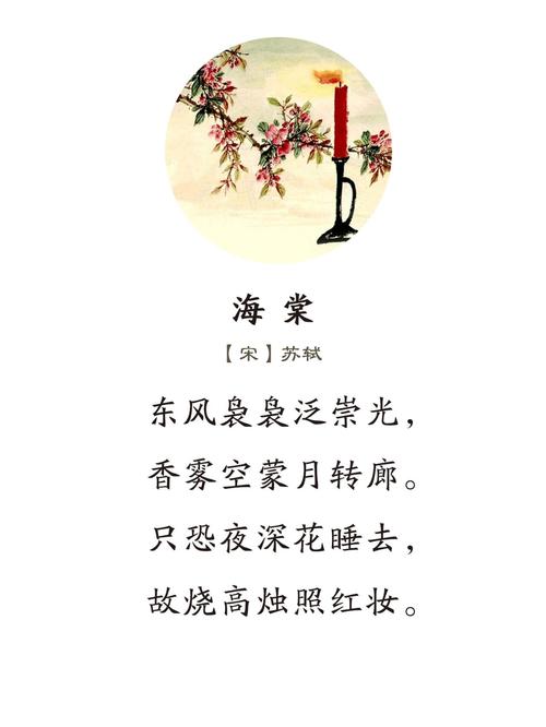 海棠年年开，今年更繁盛!虽然遇到了沙尘天气，但海棠于我仍是热