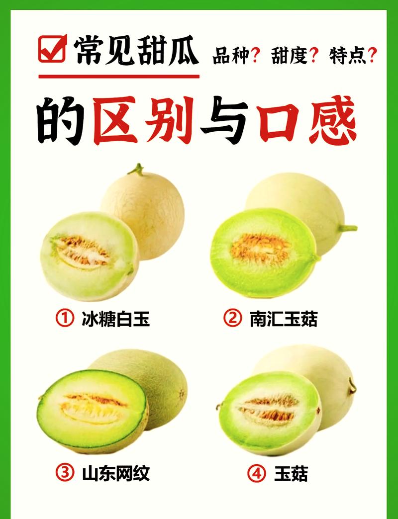 甜瓜季与您相约高官寨，3月28日不见不散