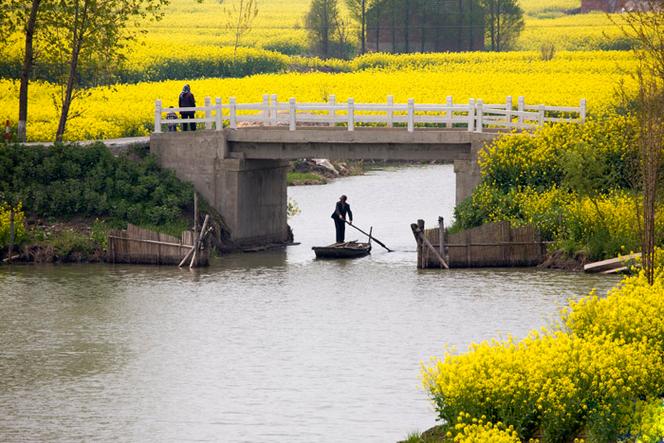 戴南镇孙王村：两条河边栈道“串”起 百姓旅游景点”