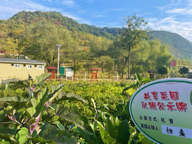 赫山区岳家桥镇：最是一年春好处 露营踏青正当时
