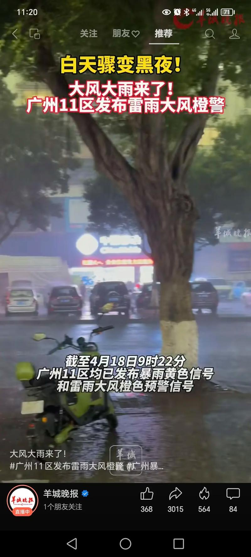 遇大雨，一大早爬茶山变成落汤鸡