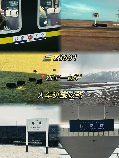 踏迹寻音：为什么说坐着火车去拉萨的川藏铁路之艰辛难上加难