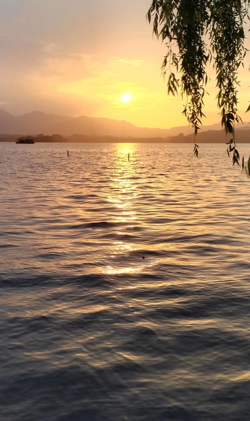 #杭州西湖美景 手机随拍分享 只羡鸳鸯不羡仙！