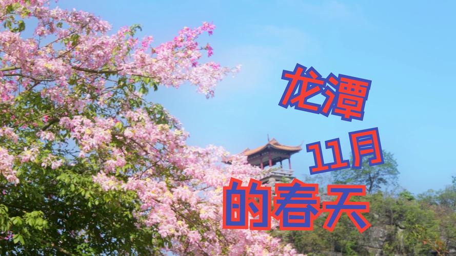 龙潭湖畔春来早 阳春三月春暖花开 花期已至美好如初