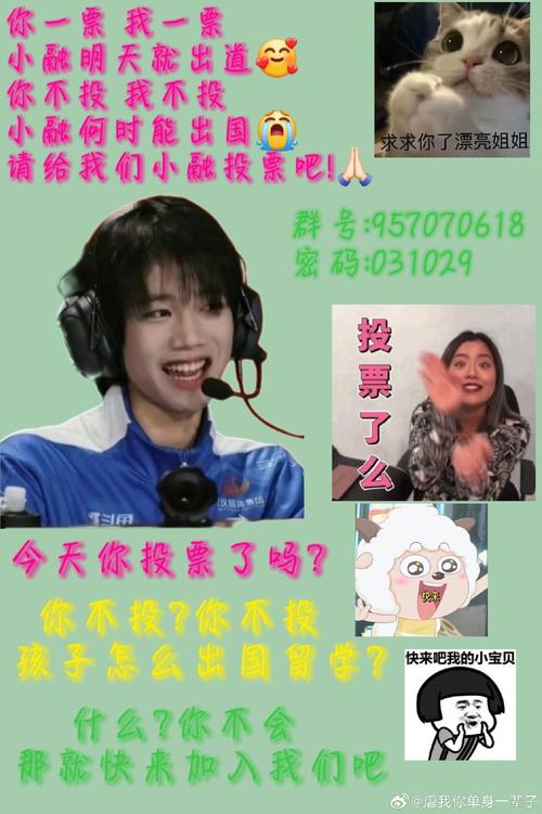 你一票、我一票，岳阳县明天就“出道”