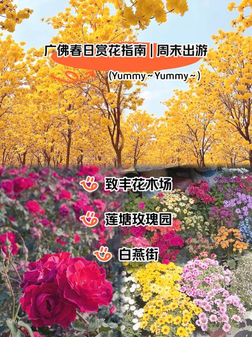 春日西岸怎么玩？三大艺术花海进入盛花期！