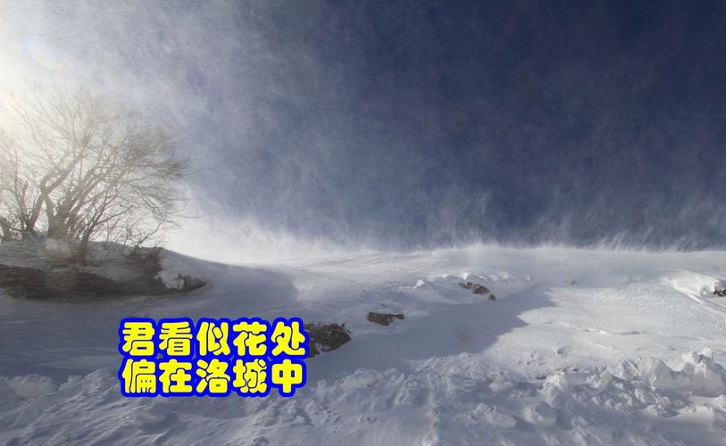 踏青？春游？浑源古城突降毛大雪，来赏花吧，赏个雪花！