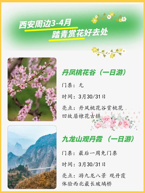 陕西清明假期出游预测：赏花游火爆，西安市井地标成热点