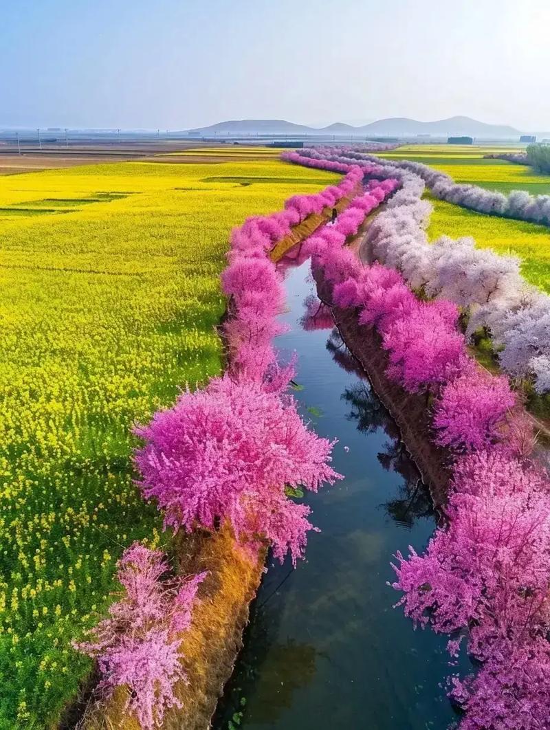步步是美景！汉中春天的心思，全“花”在这里了~