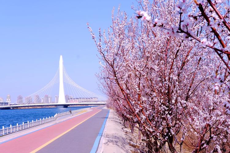 新野津湾桃花虽然迷人，桃园东边白河风景更加优美，散心绝佳之地