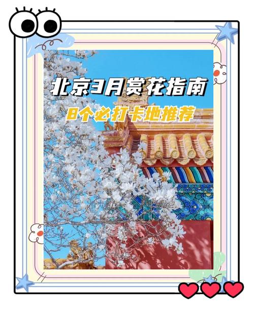 12条赏花线路来了！去通州赏花打卡正当时