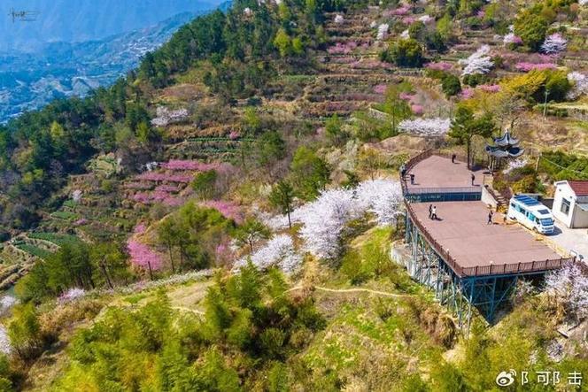 十里樱花香雪海，嵊州的美丽山村宛如童话世界，让无数游客流连