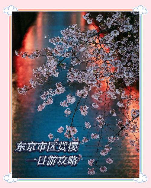 不花一分钱！天花板级赏樱之旅！
