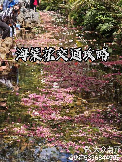 仅需55元/人！昆明公交推出丰泽植物园一日游活动