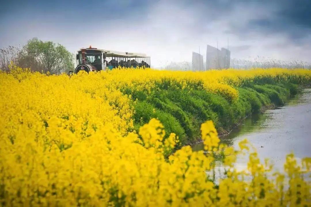 2025年4月3日 第7页