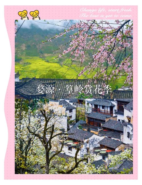 中国最美乡村婺源之篁岭#踏春赏花#旅行足迹