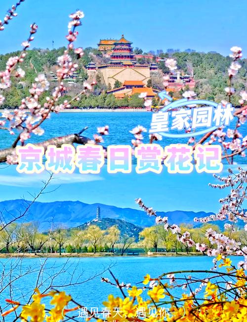 春日限定花海全纪录！来景山公园看“中式浪漫天花板”