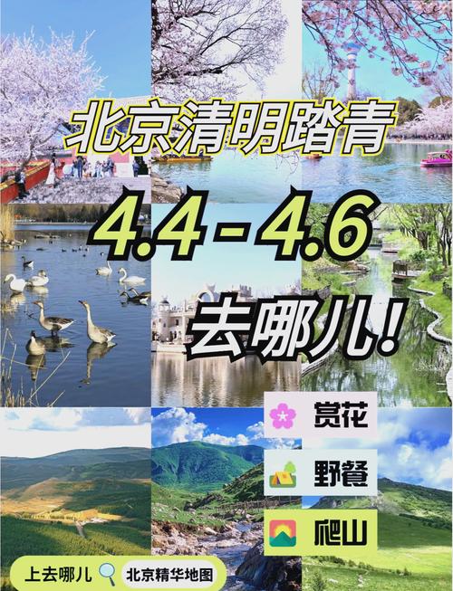 清明小长假 趣游达拉特 踏青赏春，解锁塞北风情！